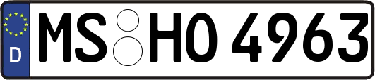 MS-HO4963
