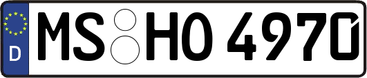 MS-HO4970