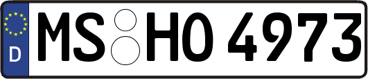 MS-HO4973