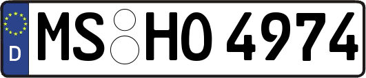 MS-HO4974