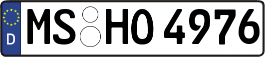 MS-HO4976
