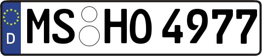 MS-HO4977