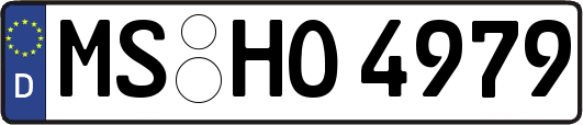 MS-HO4979