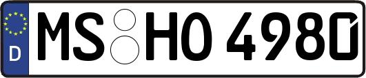 MS-HO4980