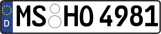 MS-HO4981