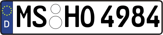 MS-HO4984