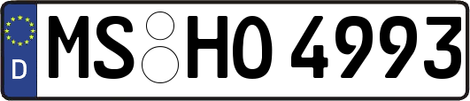 MS-HO4993
