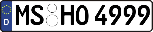 MS-HO4999