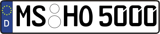 MS-HO5000