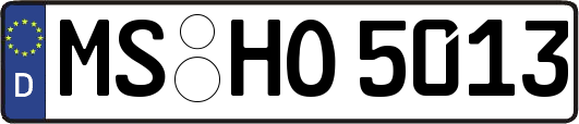 MS-HO5013
