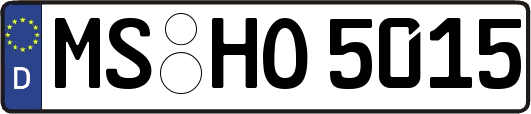 MS-HO5015