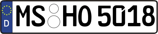 MS-HO5018