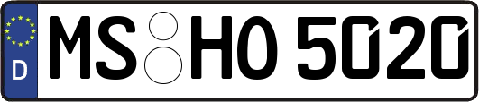 MS-HO5020