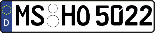 MS-HO5022