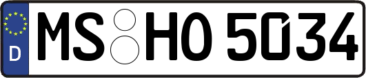 MS-HO5034
