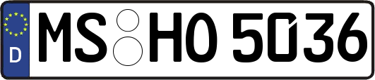 MS-HO5036