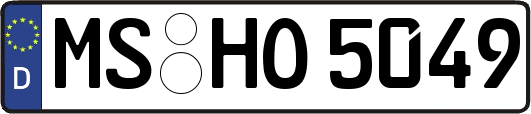 MS-HO5049