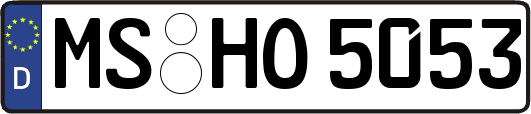 MS-HO5053