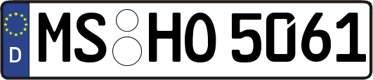 MS-HO5061
