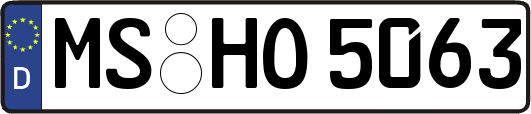 MS-HO5063