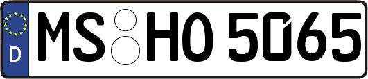 MS-HO5065
