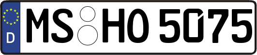 MS-HO5075
