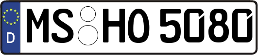MS-HO5080