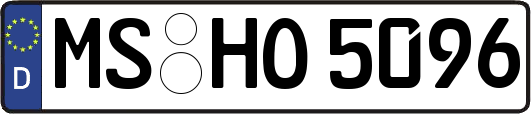 MS-HO5096