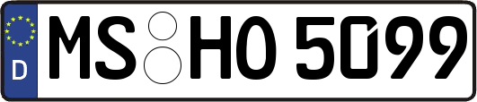 MS-HO5099