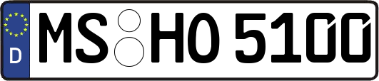 MS-HO5100