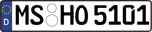 MS-HO5101