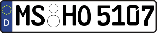 MS-HO5107