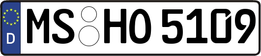MS-HO5109
