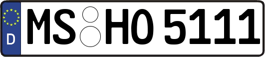 MS-HO5111