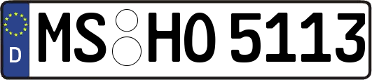 MS-HO5113