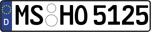MS-HO5125
