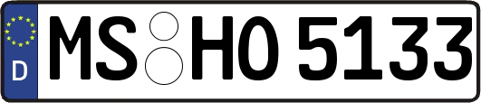 MS-HO5133