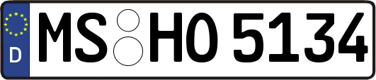 MS-HO5134