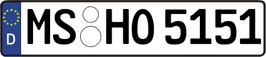 MS-HO5151