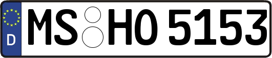 MS-HO5153