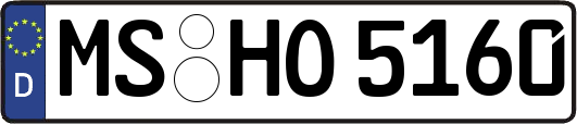 MS-HO5160