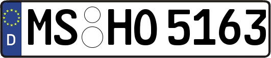 MS-HO5163