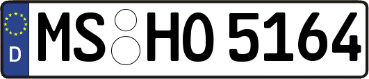 MS-HO5164