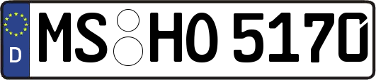MS-HO5170