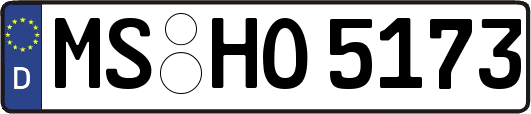 MS-HO5173