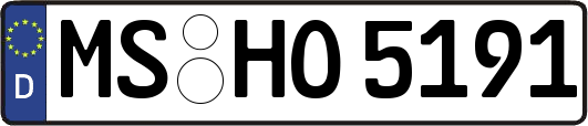 MS-HO5191