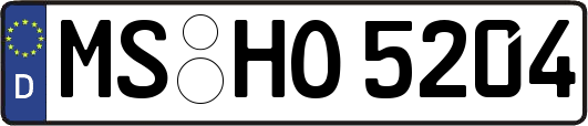 MS-HO5204