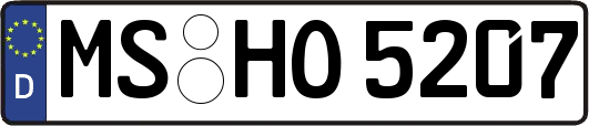 MS-HO5207