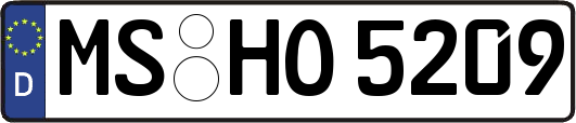 MS-HO5209