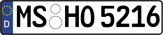 MS-HO5216